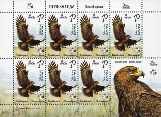 2019 БЕЛАРУСЬ Малый лист "Птица года. Большой подорлик"  MNH
