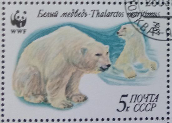 Марка СССР 1987Белый медведь