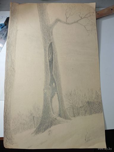 Графика Ивашков Ю.Ф.