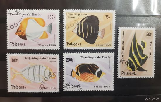 Бенин. 1996 год. Фауна. Рыбы (40)