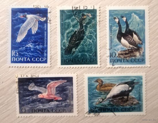 "Водоплавающие птицы". 1972г. Цена за все.