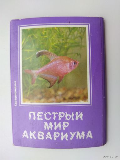 Пёстрый мир аквариума. Выпуск 6. Набор открыток 1987 года ( 18 шт. ) Н-34.