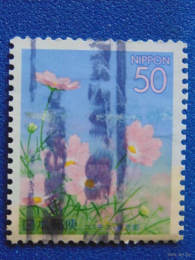 Япония. Цветы.