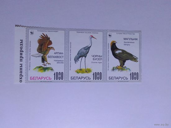 Марки   Птицы  Беларусь   1995г  3  шт