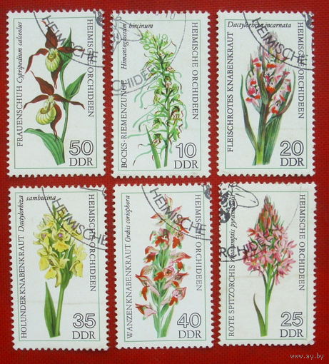 ГДР. Цветы. Орхидеи. ( 6 марок ) 1976 года. 10-6.