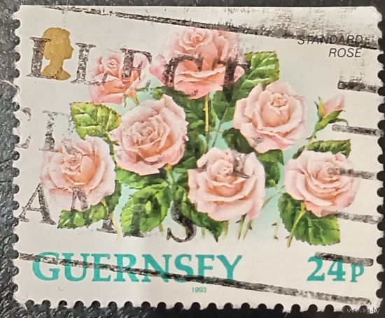 Гернси 1993. Флора. Розы