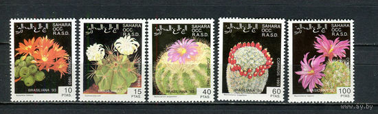 Сахара - 1993 - Цветы. Кактусы - 5 марок. MNH.  (Лот 53JR)-T3P46