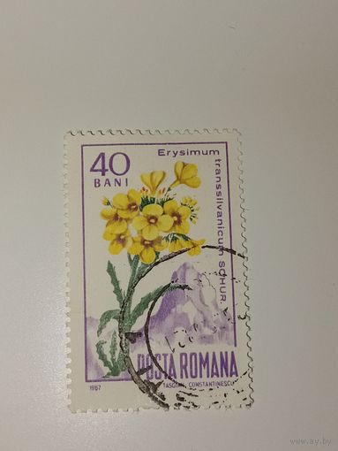 Румыния 1967 Карпатские цветы