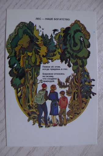 Календарик, 1985. Лес -- наше богатство.