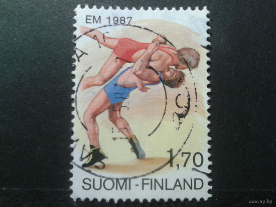Финляндия 1987 борьба