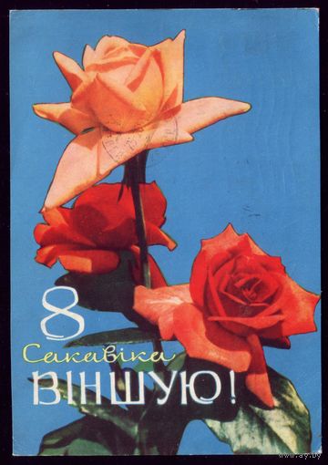 1965 год Ананьины Вiншую! 3