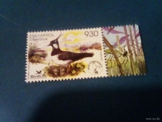 Беларусь 2006 птица года. Чибис