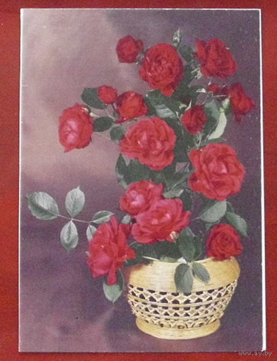Поздравительная. Чистая. Двойная. 1990 года. Кручко. 791.