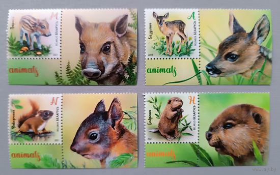 Детёныши животных, 2021. Полная серия с купонами