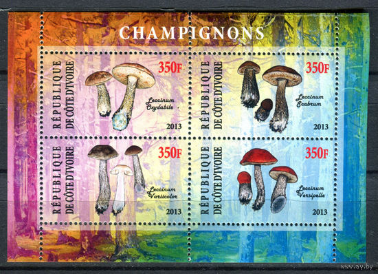 Кот д' Ивуар - 2013г. - Грибы - MNH - 1 лист