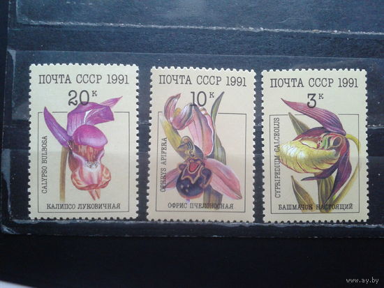 1991, Цветы**