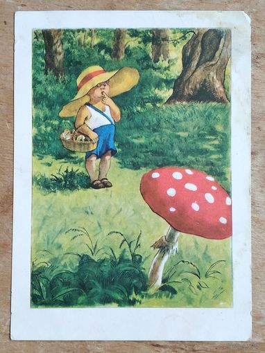 Атлантов В. Гриб. 1957 г. Чистая