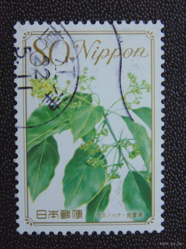 Япония. Цветы.