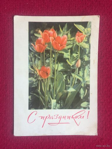 С Праздником! Кропивницкий, Заикина, Рапопорт. 1968 г.