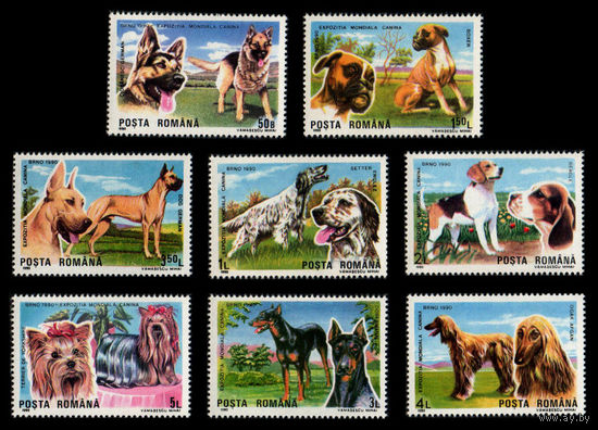 Румыния. 1990. Фауна. Собаки