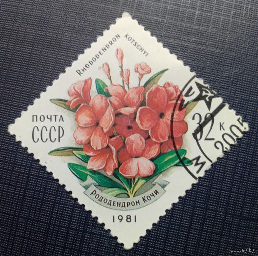 Марка СССР 1981 Рододендрон