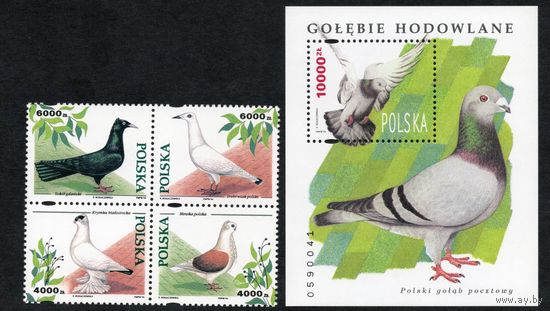 Польша 1994. Фауна. Птицы голуби Блок+4 марки. Mi 3511-15. Блок 126