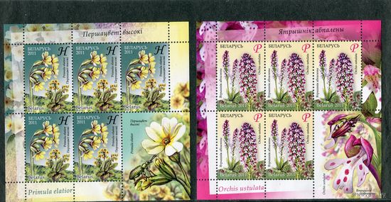 Беларусь 2011. Флора. Охраняемые растения. Два малых листа