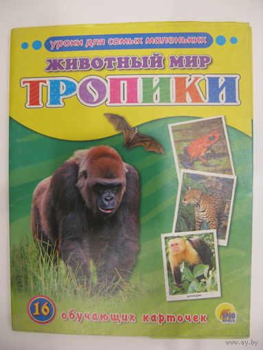 Животный мир. Тропики. 16 обучающих карточек.