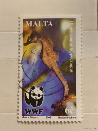 Мальта 2002. Морской конек