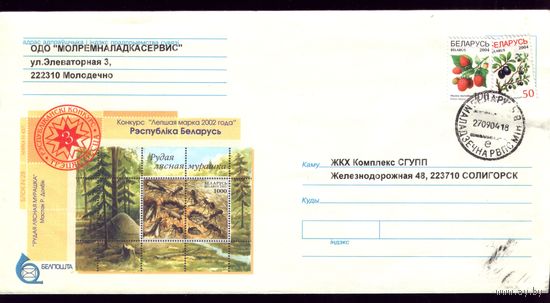 2003 год Муравьи