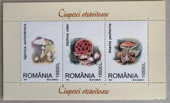 Мухоморы.