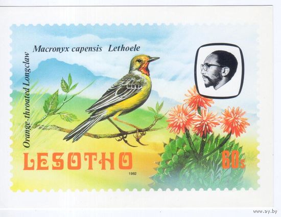 Открытка Лесото 1982г. Фауна.Птицы.Капский конек.
