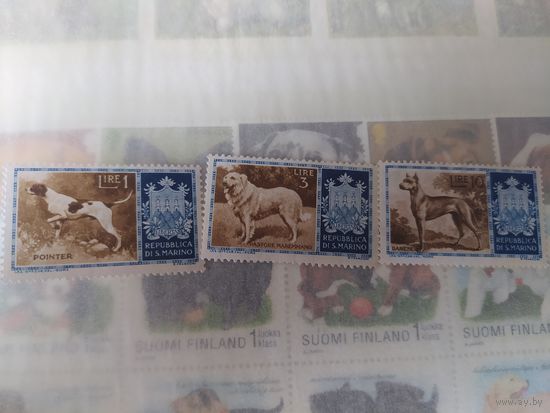 Марки Сан- Марино, собаки.