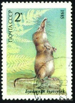 Животные "Красной Книги" СССР 1985 год 1 марка
