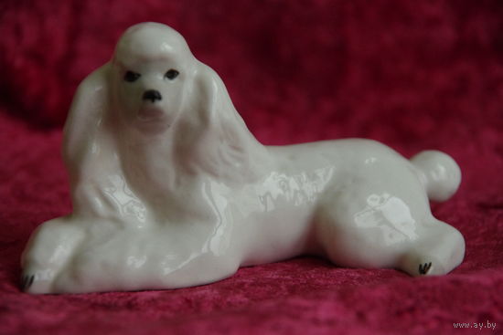 Статуэтка фарфоровая "  Пудель "  ЛФЗ   ( целая )