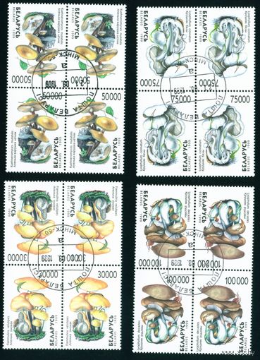 Грибы Беларусь 1999 год (341-344) серия из 4-х марок в квартблоках