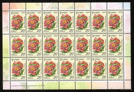 Беларусь. 2008. Стандарт. Пион (20р) (з.96-2009) Лист