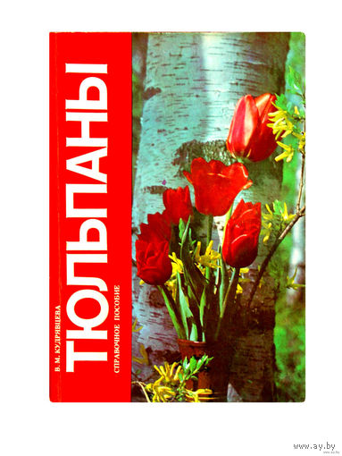 В.М.Кудрявцева. Тюльпаны.