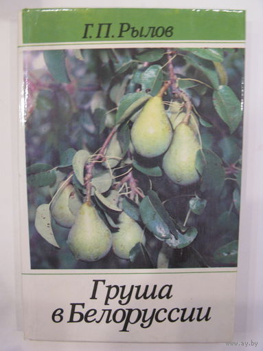 Груша в Белоруссии. Г.П.Рылов.