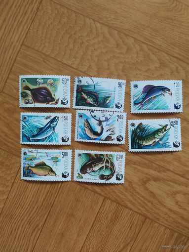 Польша серия марок 1970 г. Рыбы