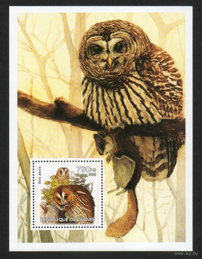 Совы Гвинея 2002 год 1 блок