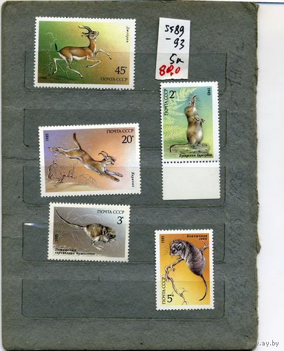 СССР, 1985, ЖИВОТНЫЕ, ЗАНЕС в КР. КНИГУ, серия 5м, ( на "СКАНЕ" справочно приведены номера и цены по ЗАГОРСКОМУ)