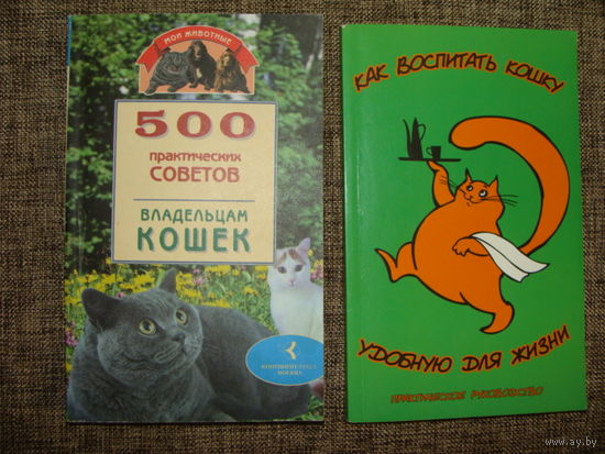 Книга "Как воспитать кошку удобную для жизни"