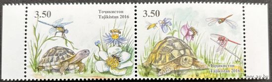 Таджикистан 2016  .Фауна. черепахи. Серия