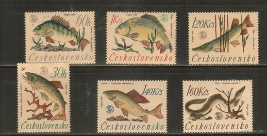 Чехословакия-1966(Мих.1609-1614) , ** ( 1 - *)  ,  Фауна, Рыбы (полная серия)