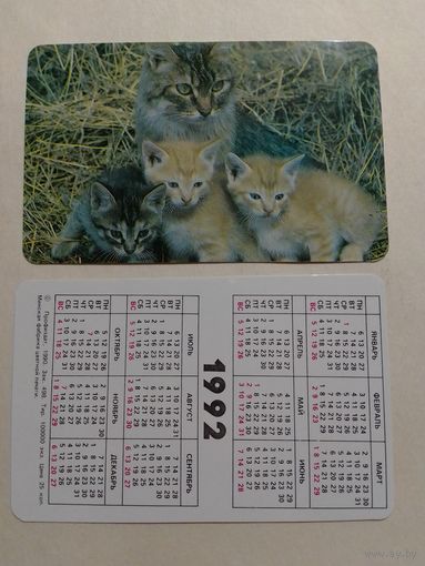 Карманный календарик. Котики.1992 год
