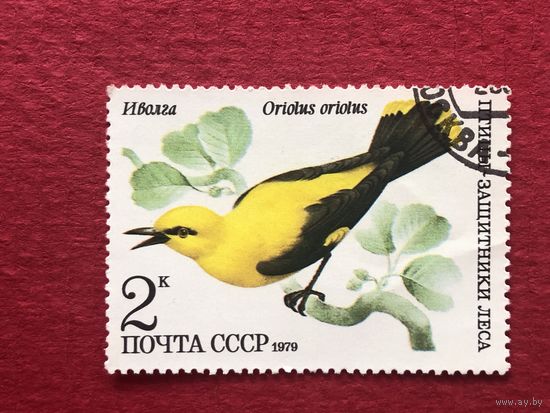 СССР 1979 год. Птицы-защитники леса