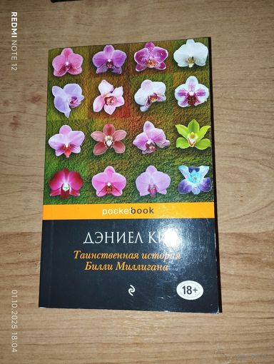 Таинственная история Билли Миллигана