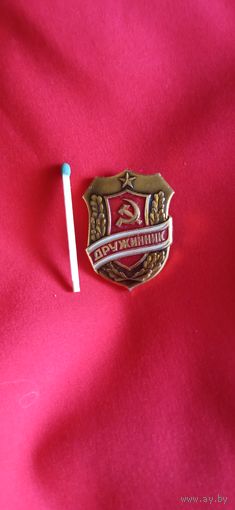 Значок Дружинник