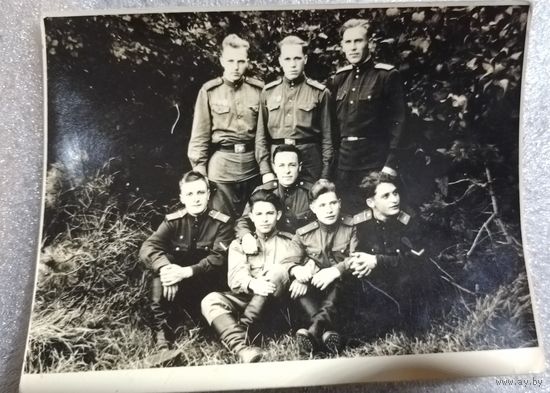 Фото в коллекцию